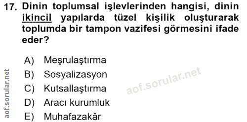 Soru 17