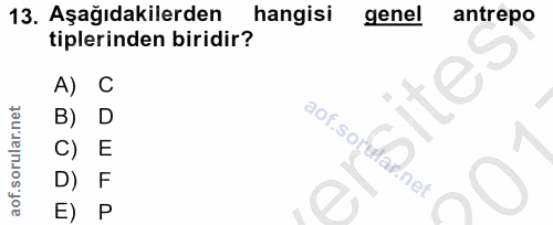 Soru 13