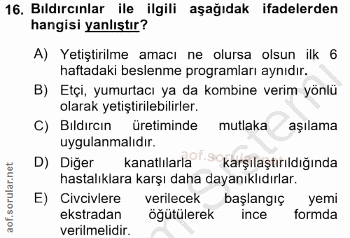 Soru 16
