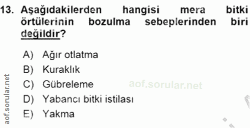 Soru 13