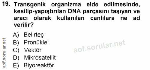 Soru 19