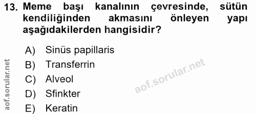 Soru 13