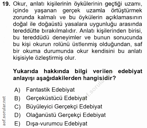 Soru 19