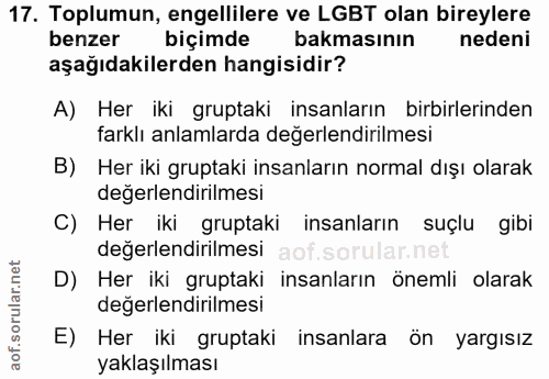 Soru 17