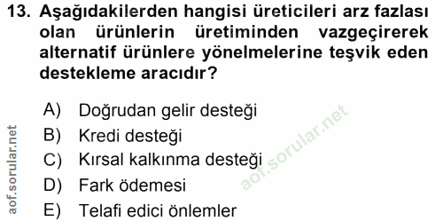 Soru 13