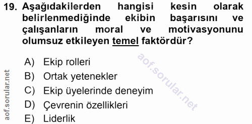 Soru 19