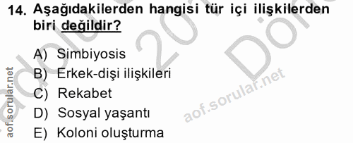Soru 14