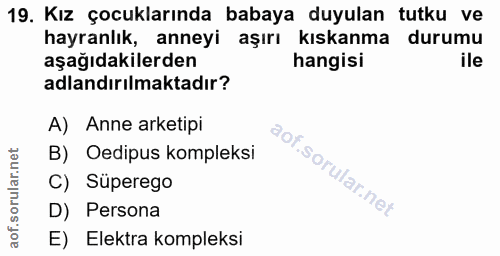 Soru 19