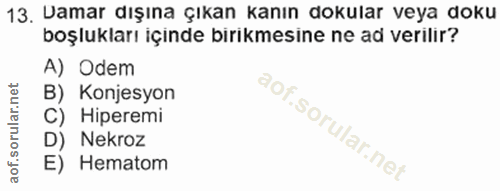 Soru 13