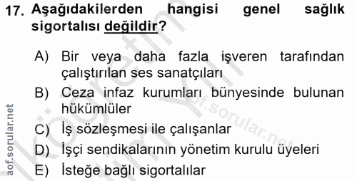 Soru 17