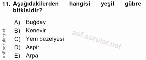 Soru 11