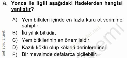 Soru 6