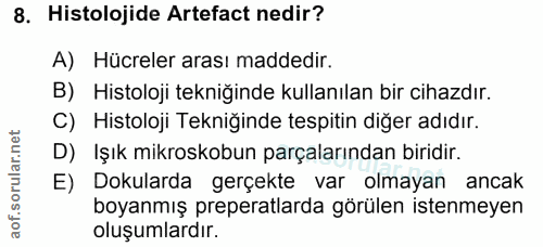 Soru 8