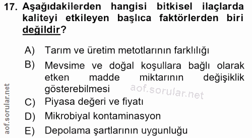 Soru 17