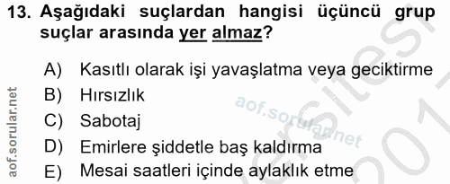 Soru 13