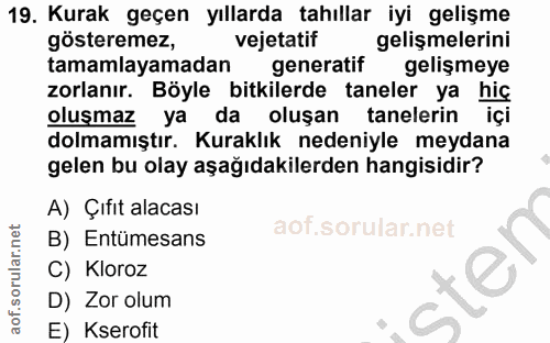 Soru 19