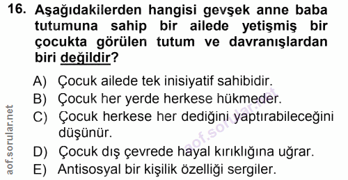 Soru 16
