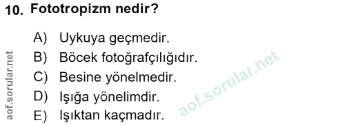 Soru 10
