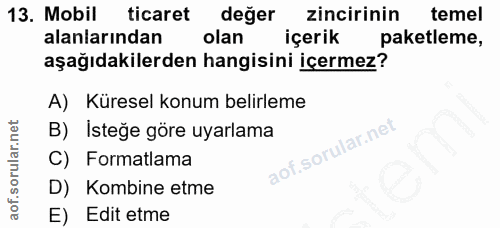 Soru 13