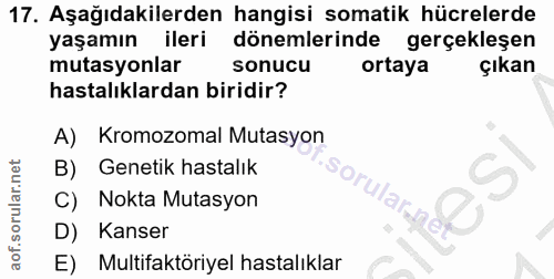 Soru 17