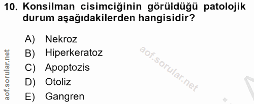 Soru 10