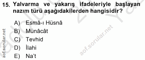 Soru 15