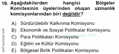 Soru 19
