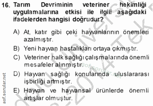 Soru 16