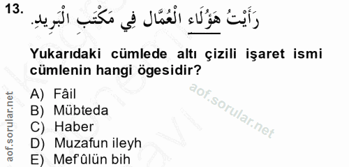 Soru 13