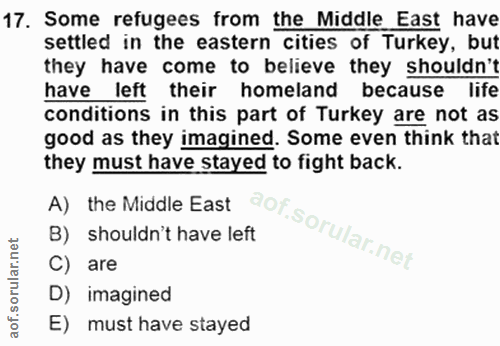 Soru 17