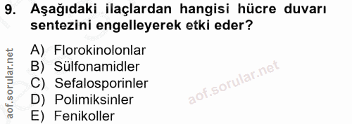 Soru 9