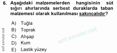 Soru 6