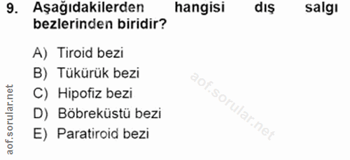 Soru 9