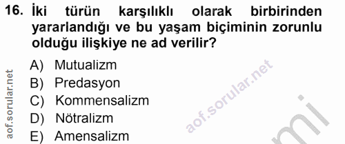 Soru 16