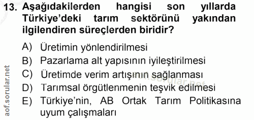 Soru 13
