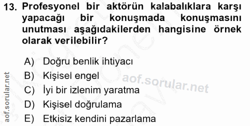 Soru 13