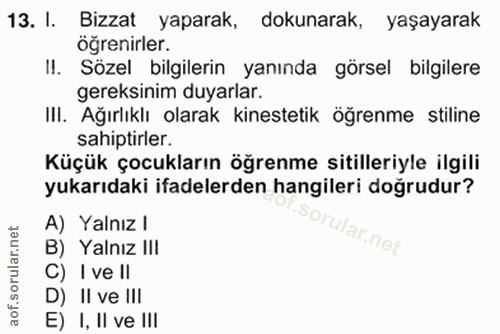 Soru 13