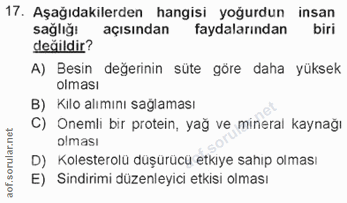 Soru 17