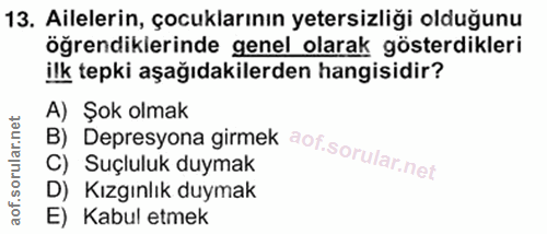 Soru 13