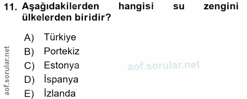 Soru 11