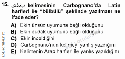 Soru 15
