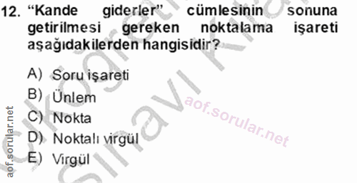 Soru 12