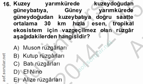 Soru 16