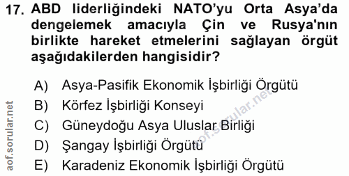 Soru 17