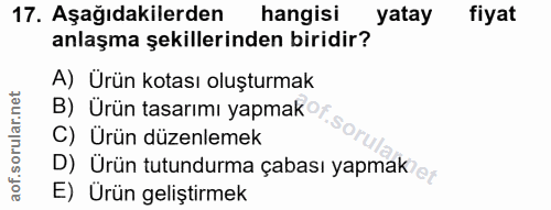 Soru 17