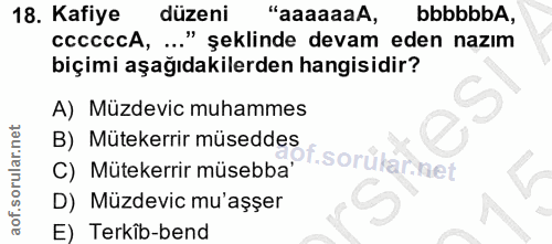 Soru 18