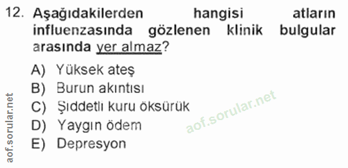 Soru 12