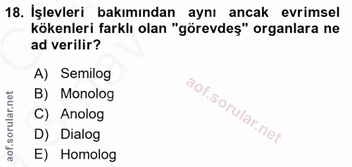 Soru 18