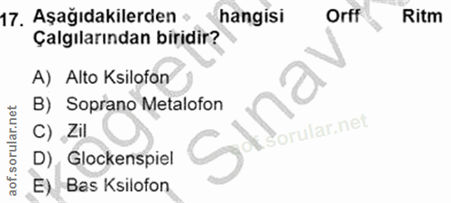 Soru 17