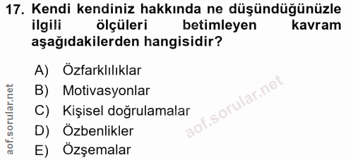 Soru 17